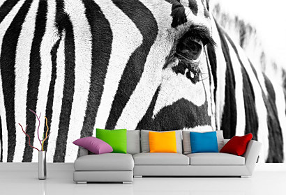 fototapeta zebra black white čierno biela eye 